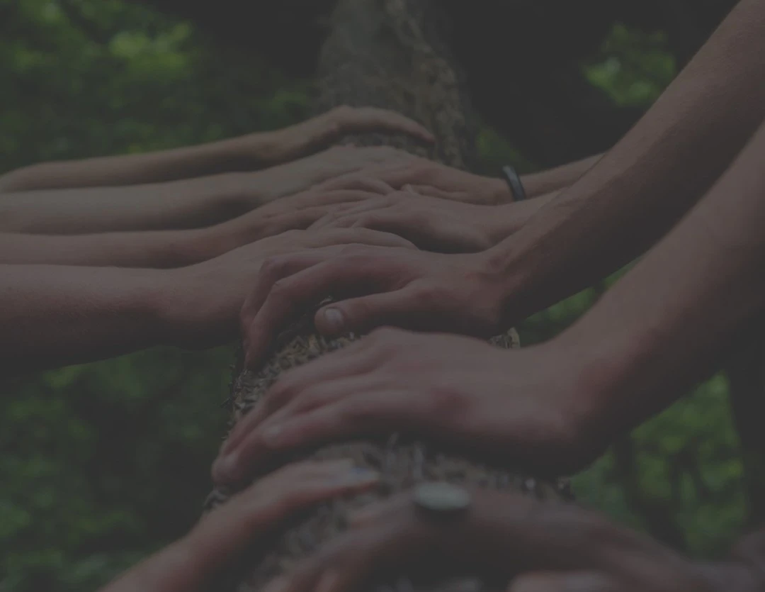 04661080835494-hands-on-tree-dark-17109590674957.jpg