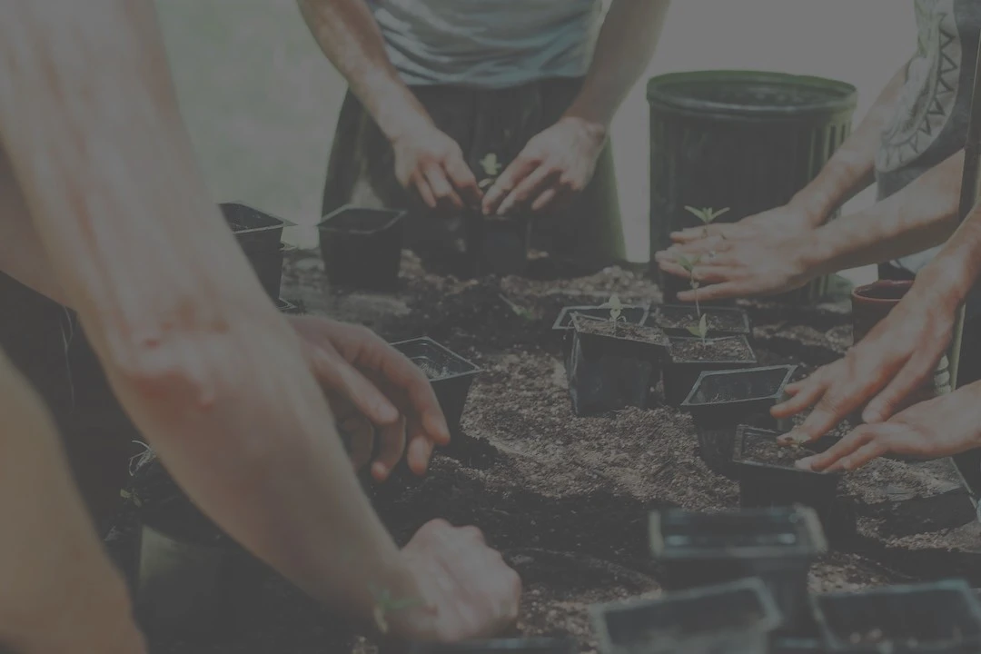 480-garden-hands-dark-17109531236858.jpg